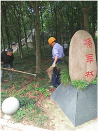 QQ图片20181226111833_副本.jpg