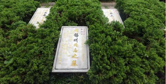 图片3.jpg 图片3.jpg